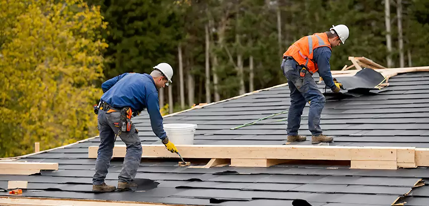 Agricultural Roof Maintenance Tuttle
